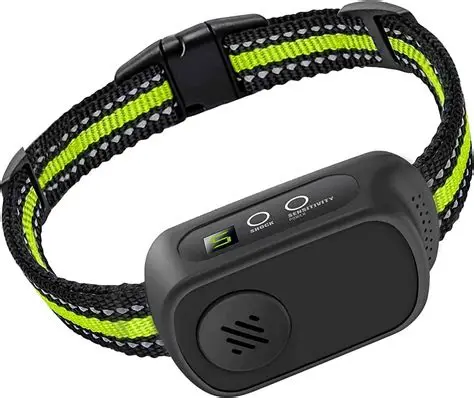 Close-up of a Bark Collar showing battery compartment