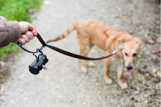 Bark collar detecting a dog’s throat vibration