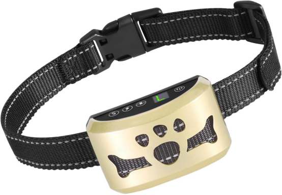 Dog wearing a vibration bark collar during training