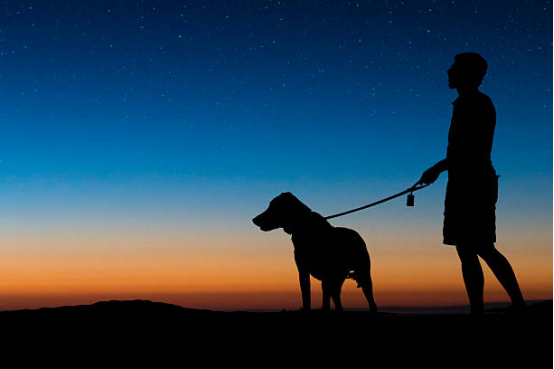 walking the dog