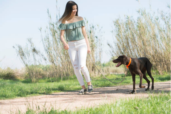 Walking the dog outdoors