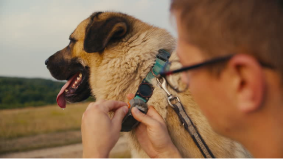 Pet owner adjusting the fit of a bark collar on their dog