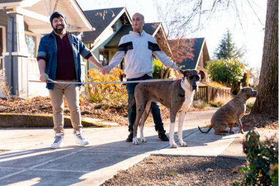 Pet owner using a bark collar to reduce neighbor complaints