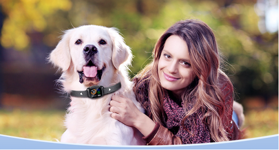 Dog wearing a bark collar while calmly sitting at home