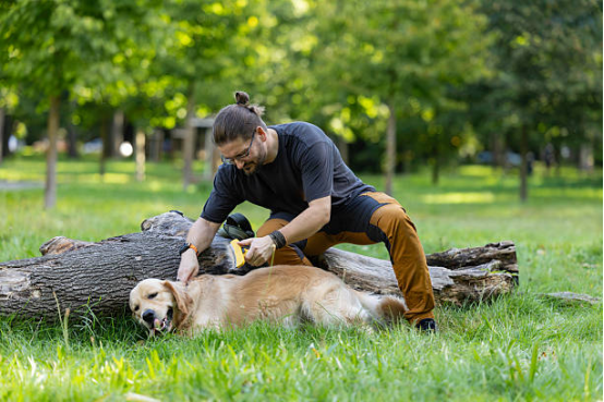 Trainer demonstrating alternative behaviors with a bark collar