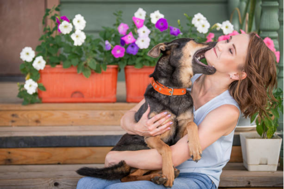 How can people living alone use a bark collar to control dog barking?