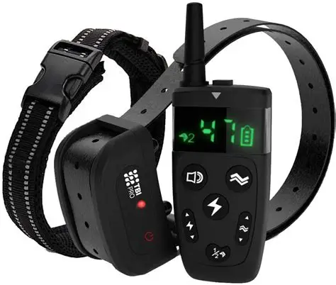 Black bark collar system with remote for dog training and behavior correction.