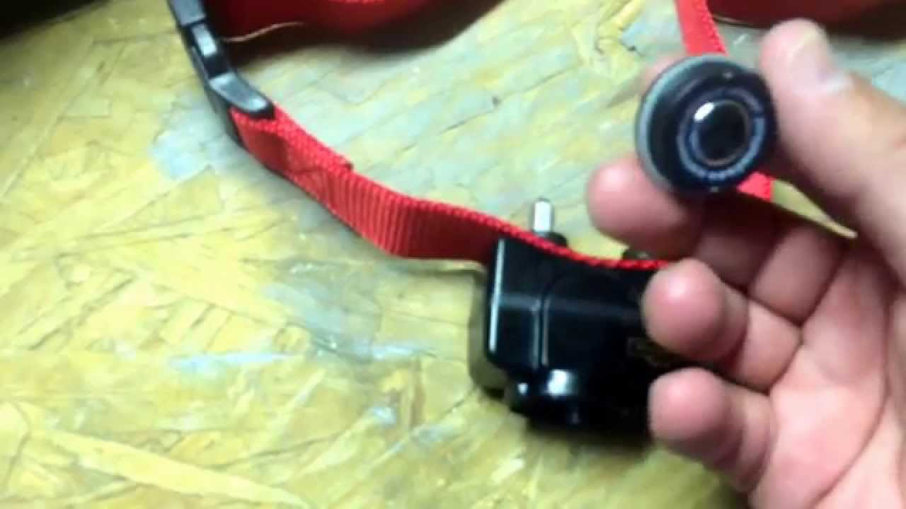 Hand showing contact points on a red bark collar for dog training.