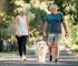 Happy senior couple walking dog. A bark collar helps train dogs for quiet walks.