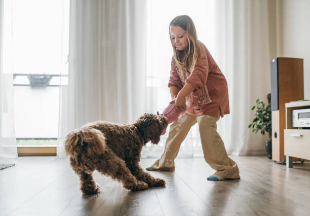 Young girl gently plays with her dog, teaching good behavior without a bark collar.
