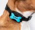 Dog wearing a blue bone-shaped bark collar device for training and behavior control.