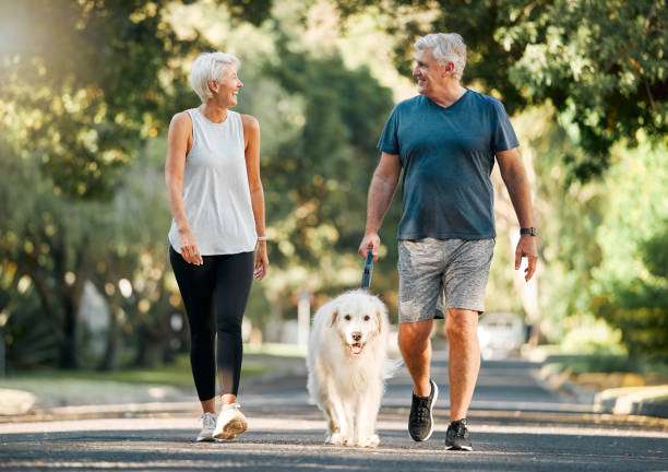 Happy senior couple walking dog. A bark collar helps train dogs for quiet walks.