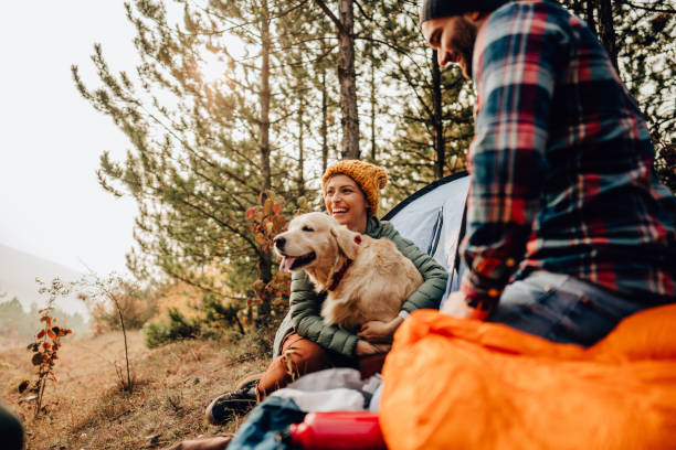 Happy couple camping with a golden retriever, considering a gentle bark collar for training.