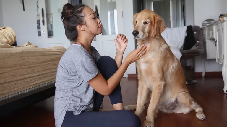 A woman sits and gently pets her golden retriever, promoting good behavior without a bark collar.