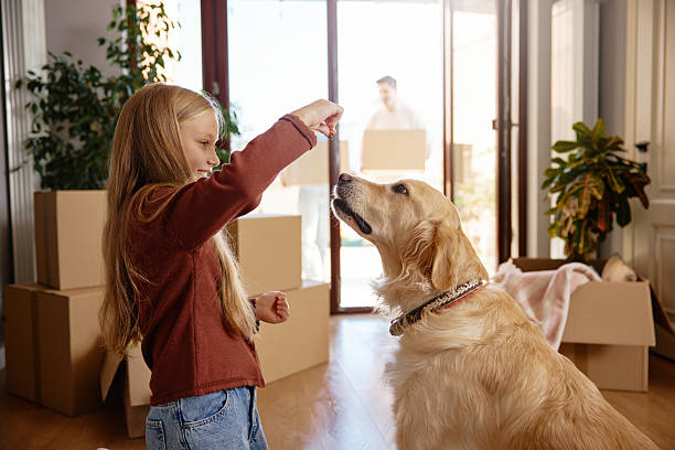 Girl rewards her happy golden retriever, reinforcing good behavior; no bark collar needed.