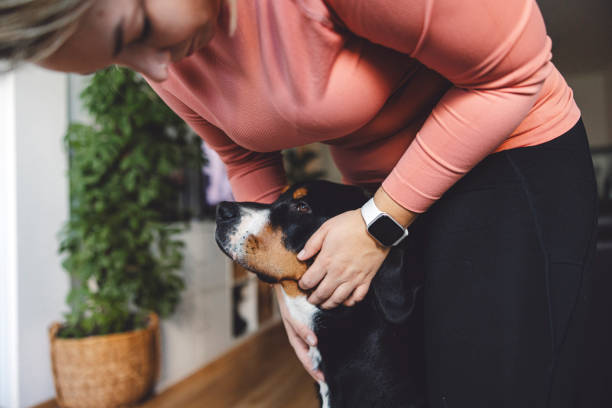 Woman lovingly pets her black and white dog's head; teaching obedience without a bark collar.