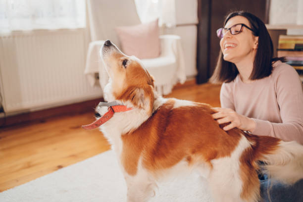 Smiling woman gently pets her happy dog, showcasing good behavior achieved without a bark collar.