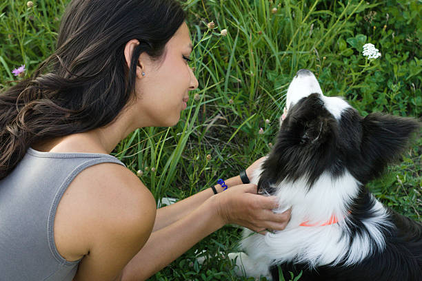Woman petting a focused black and white dog in a field, considering a bark collar.